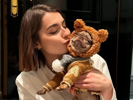 450 000 рублей за передержку, а итог — голодные и побитые собаки: что ждет хозяйку DogTown, где издевались над питомцами