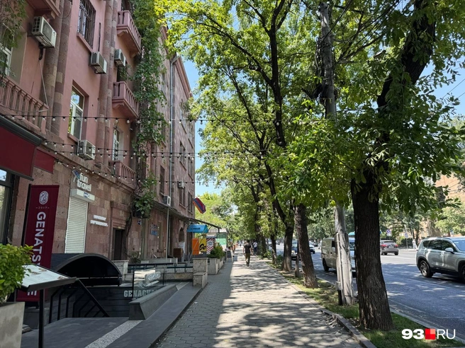 В центре Еревана много зелени | Источник: Валерия Дульская / 93.RU