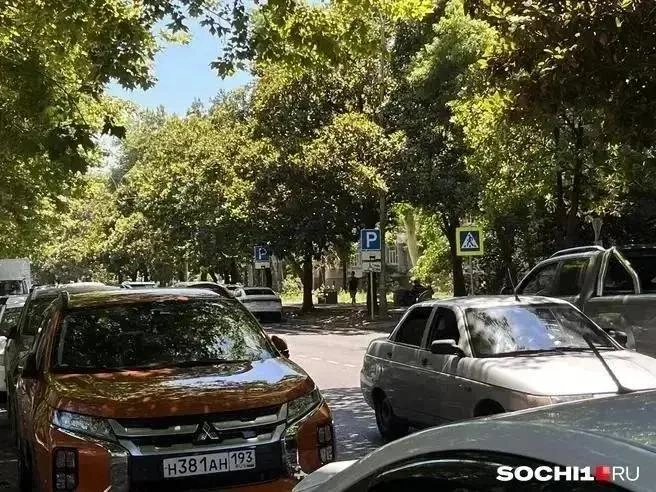 В мэрии уверены, платне парковки помогают регулировать транспортную ситуацию | Источник: Анна Грицевич / SOCHI1.RU