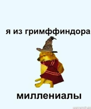 Лучшие и самые смешные мемы про зумеров