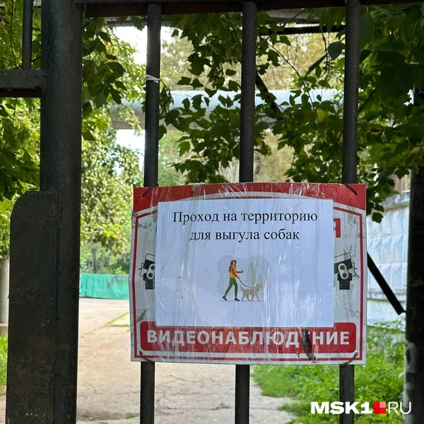Источник: Андрей Овчаренко