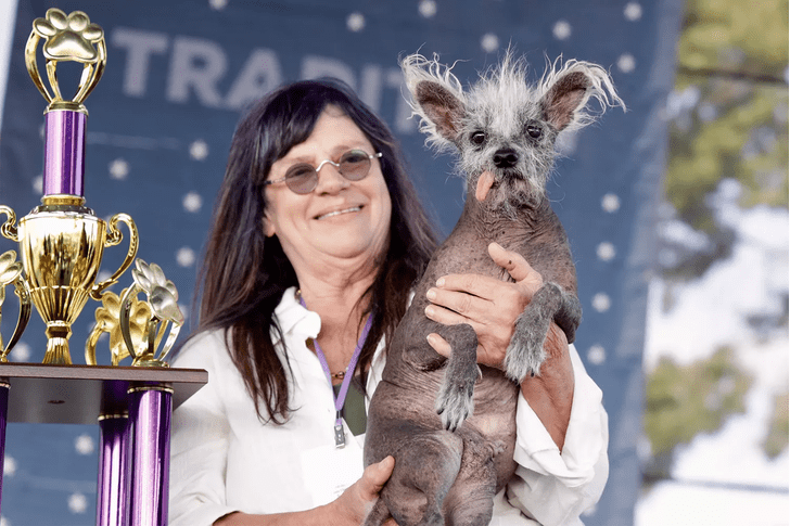 Посмотрите на этих симпатяг: опубликованы фото финалистов конкурса «Самая уродливая собака — 2023»