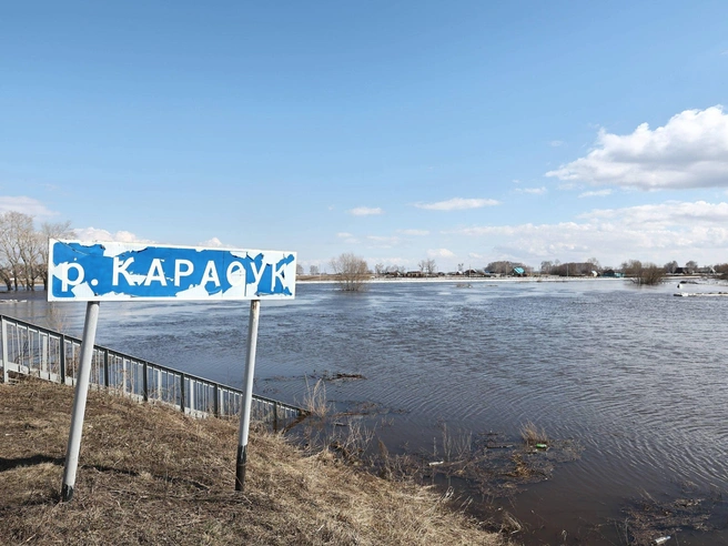 Лед на реке Карасук, по свидетельствам местных, взрывали в начале апреля. | Источник: Александр Ощепков / NGS.RU