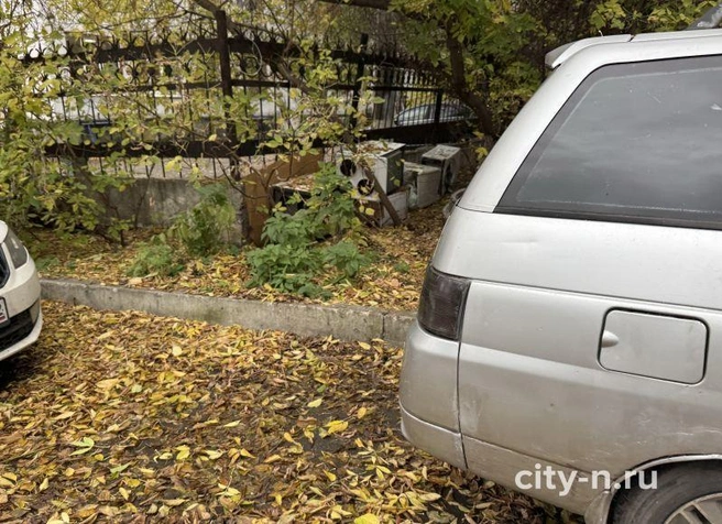 Источник: www.city-n.ru