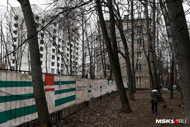 Источник: Артём Устюжанин / MSK1.RU