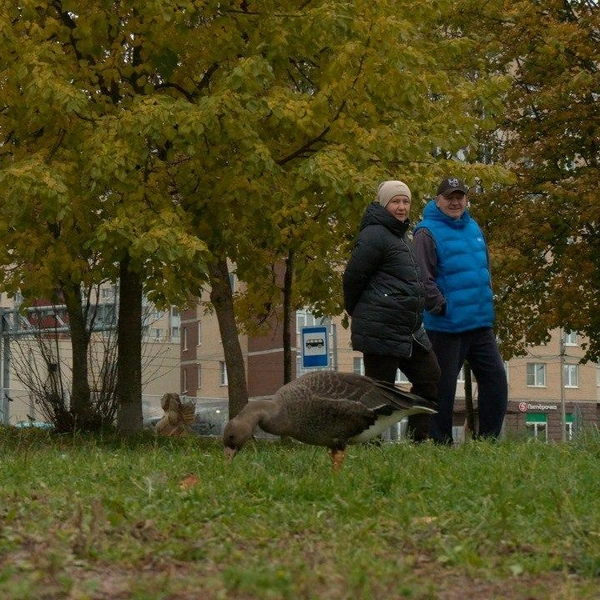 Источник: Павел Глазков / «Каждой твари по паре»