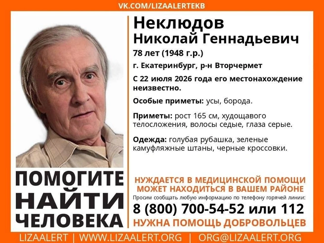 Если вы видели похожего пенсионера, свяжитесь с волонтерами | Источник: «ЛизаАлерт»