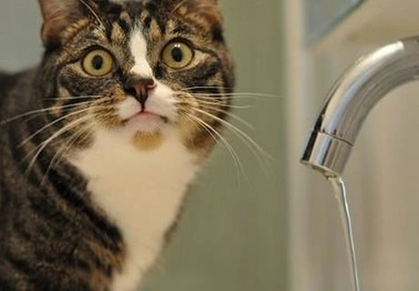 В поселке Карцево отключили холодную воду | ya62.ru