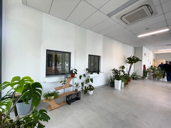 В здании не было реконструкции последние 60 лет | Источник: Алексей Волоцков / T.me