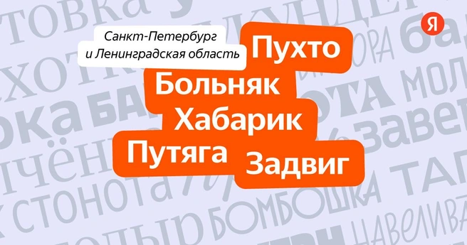 Пухто, хабарик и задвиг. Лингвисты составили список петербургских слов | www.fontanka.ru