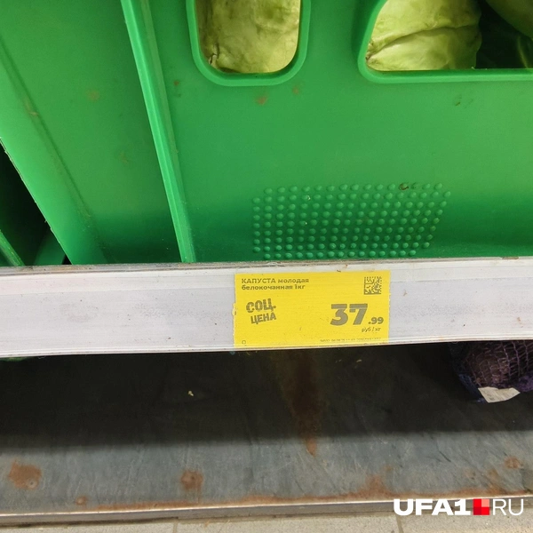 Источник: Булат Салихов / UFA1.RU