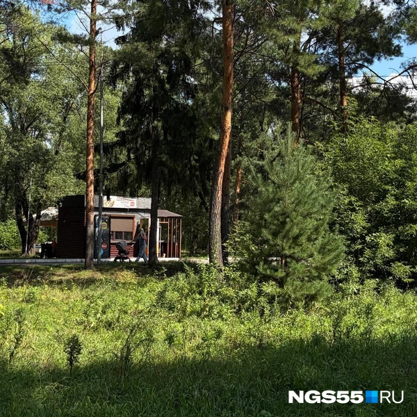 В кустах затаились ларьки | Источник: Анна Иванина / NGS55.RU