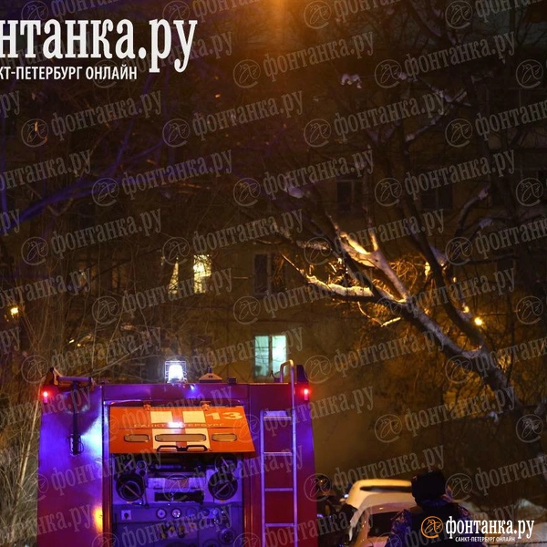 Источник: Дарья Драй / «Фонтанка.ру»