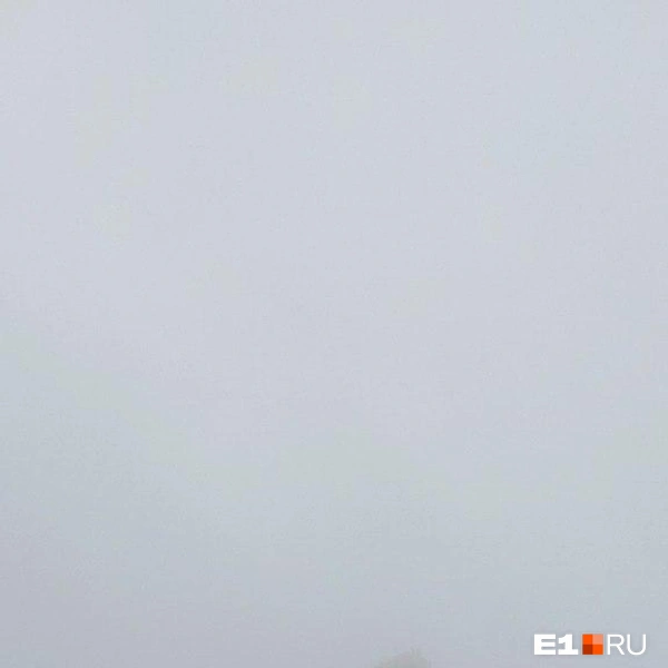 Источник: Читатель E1.RU
