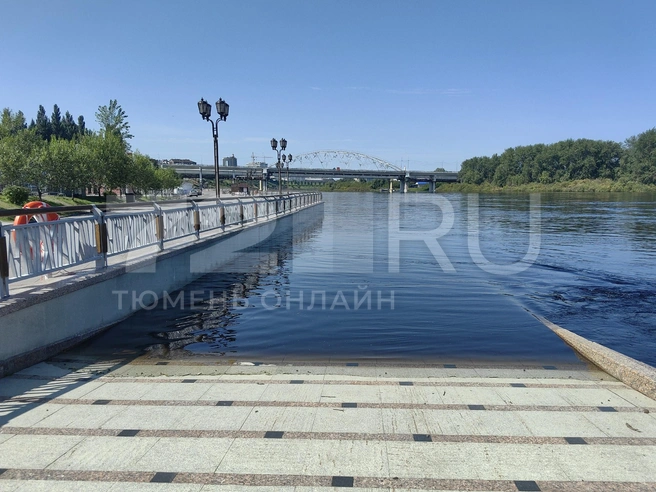 Журналист 72.RU показал, куда вода уже успела добраться. По прогнозам, это не предел | Источник: Павел Красоткин / 72.RU