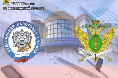 Судебные приставы разъяснили новый порядок взыскания налогов