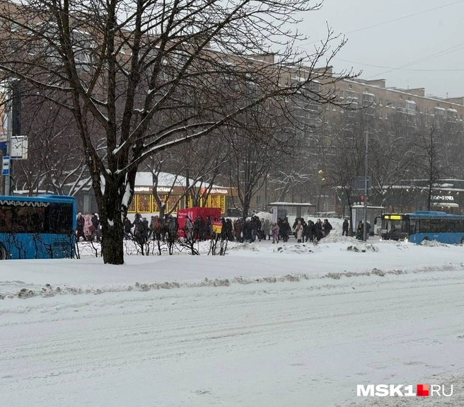 Пассажиры желтой ветки пересели на автобусы | Источник: Иветта Авраамова / MSK1.RU