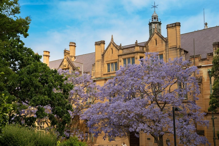 11 октября 1852 года в Сиднее прошла церемония открытия University of Sydney — первого университета Австралии. | Источник: Sasanan Trakansuebkul/Shutterstock/Fotodom.ru