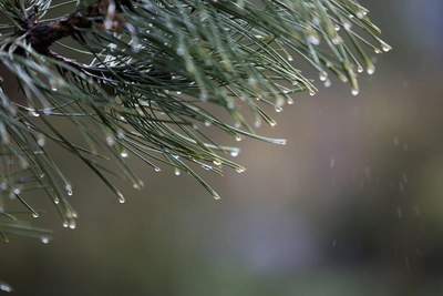 Прогноз погоды в Ростовской области: конец февраля принесет дожди