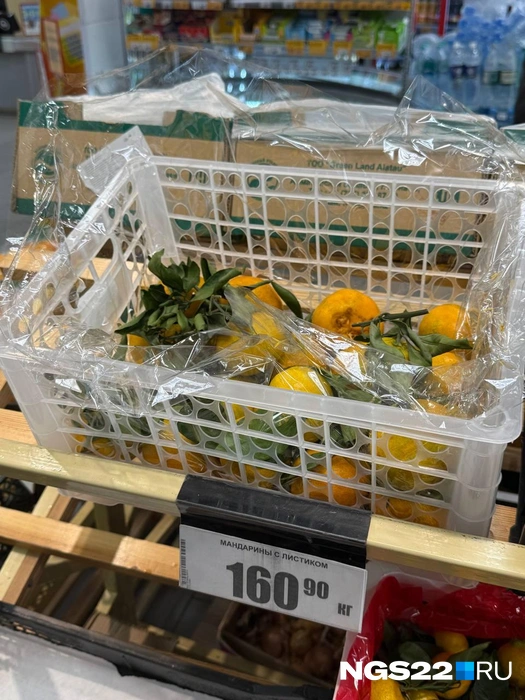 Источник: Полина Шевчукова / NGS22.RU