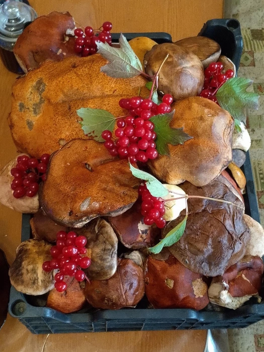 Вот такое аппетитное «лукошко» собрал | Источник: Максим Яковинов / «ВКонтакте»