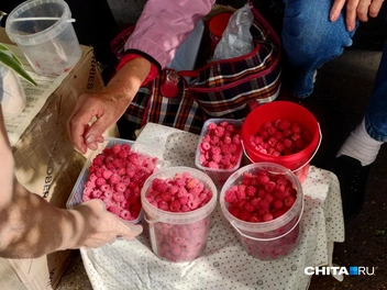 Малина манит несмотря на стоимость  | Источник: Дарья Кливенкова / CHITA.RU