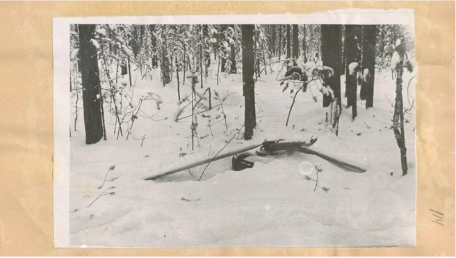 Шасси Ан-2 | Источник: из материалов дела