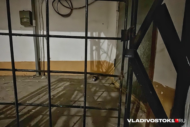 Погибшая была их подругой и ровесницей | Источник: Елена Буйвол / VLADIVOSTOK1.RU