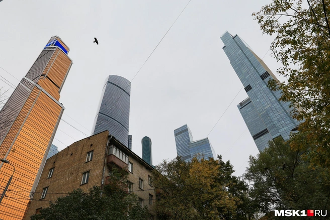 «Сити» разрастается и поглотит Камушки? | Источник: Артем Устюжанин / MSK1.RU