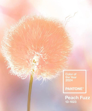 Цвет 2024 года от Pantone: персиковый Peach Fuzz