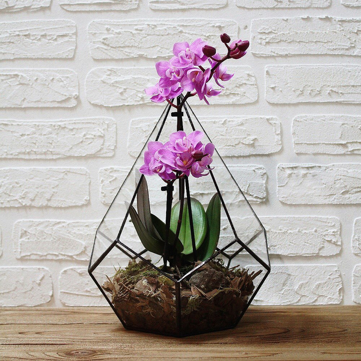 Пластиковые, стеклянные или керамические кашпо и горшки для орхидей...