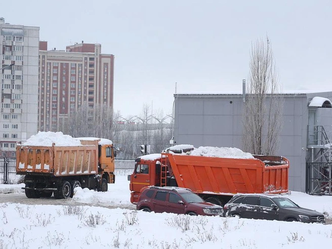 Петербург за неделю вывез 100 тысяч кубометров снега | Источник: Сергей Михайличенко / FONTANKA.RU
