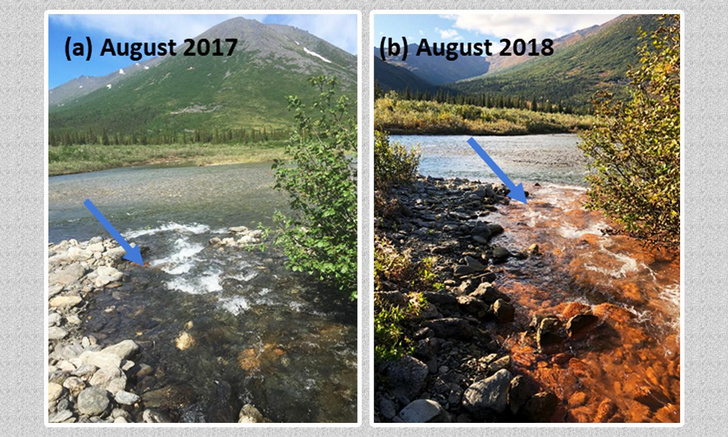 Исчезла рыба, вода стала ржавой: что происходит с реками Аляски и возможно ли такое в России?