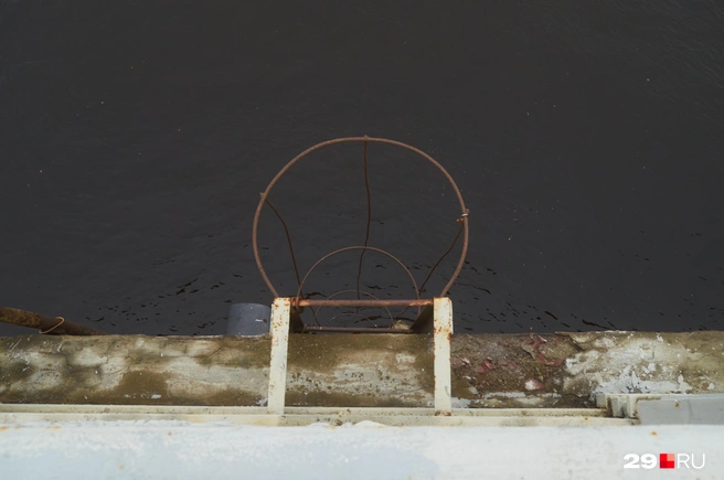 Источник: Антон Данилов / 29.RU