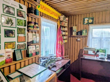 Все экспонаты содержатся в прекрасном состоянии | Источник: Оксана Витязь / SOCHI1.RU