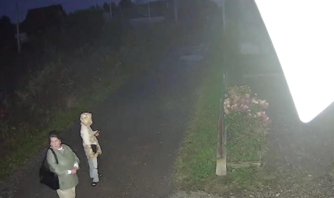 На Урале девочка провела обыск в доме и отдала сумку денег мошенникам, пока ее родные были в соседн…