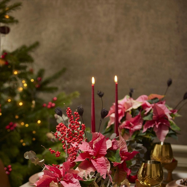 Источник: Шарлотта Коуэлл/unsplash