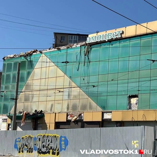 Источник: Елена Буйвол / VLADIVOSTOK1.RU