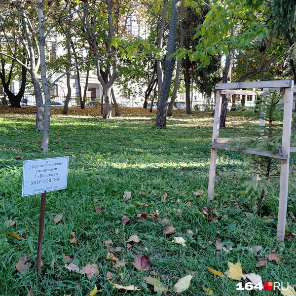 Источник: Сергей Гендин / 164.RU