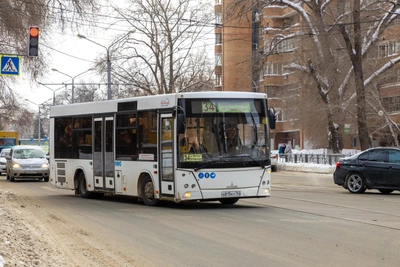 Самарские автобусы в Туле: перевозчик дал объяснения