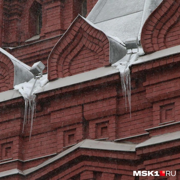 Источник: Татьяна Спиридонова / MSK1.RU