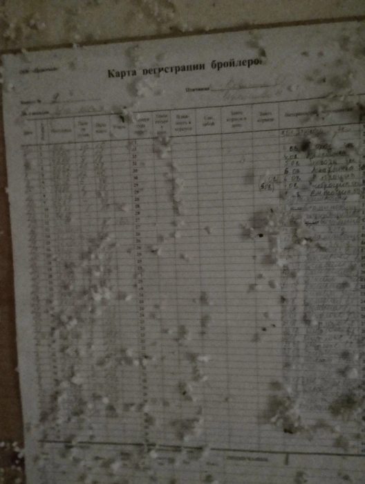 Так выглядела карта регистрации бройлеров | Источник: «Михаил Абдалкин. Голос рабочего» / T.me