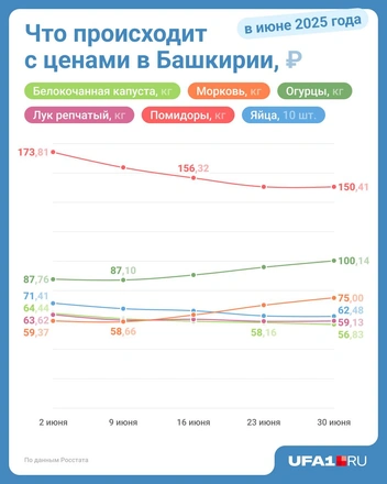 Источник: Юрий Скулыбердин / Городские медиа