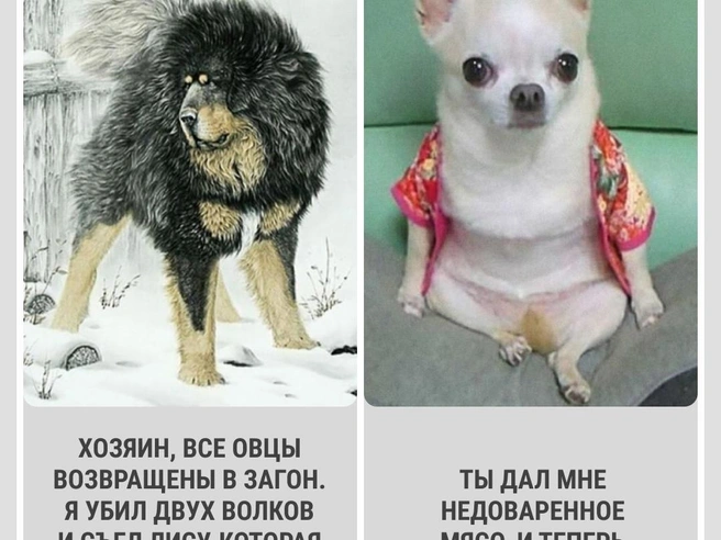 Признавайтесь, было? | Источник: Городские медиа