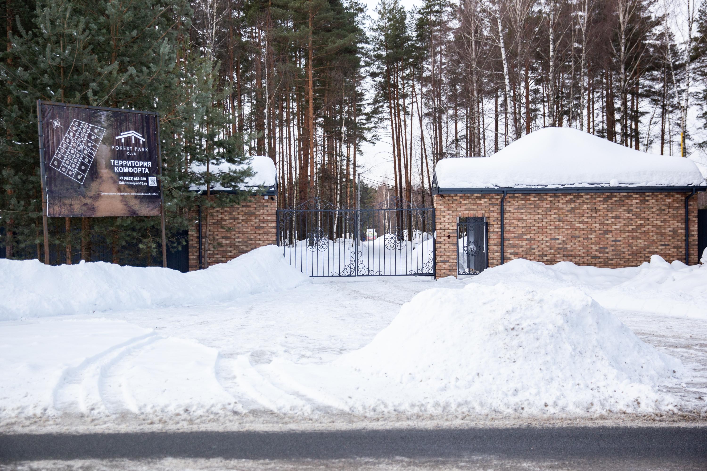 Стройка в Прусовском лесу у деревни Липовицы: кто застройщик Forest Park  под Ярославлем - 30 марта 2023 - 76.ру