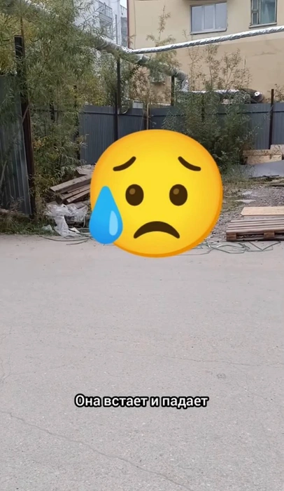 Скриншот из видео | Источник: Аккаунт biggibiggibiggibiggibiggi в Instagram (экстремистская организация, деятельность запрещена в РФ).