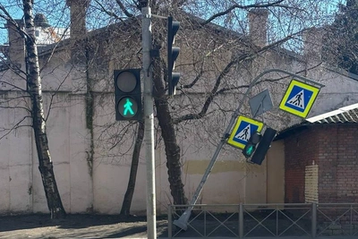 Ветер в Петербурге повредил 40 деревьев и 11 автомобилей