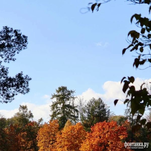 Источник: Лада Шаталова / читательница «Фонтанки»