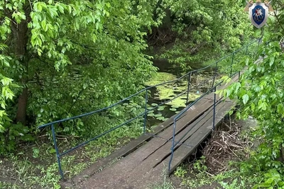 Трехлетний ребенок утонул в реке под Оренбургом