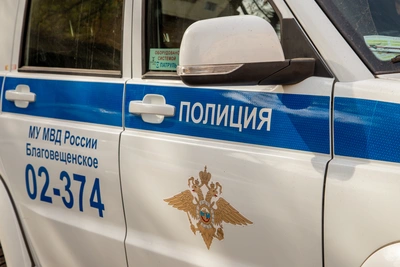 Пьяная амурчанка получила год колонии за повторную езду